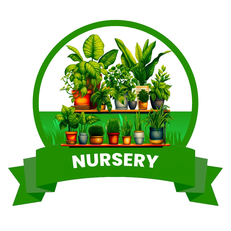 Nursery